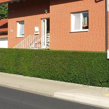 Apartment Mit Blick Auf Herkules Mit Parkplatz Кассель Экстерьер фото